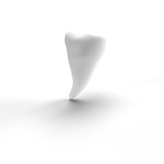 teeth on a white background