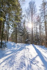 Fototapeta na wymiar Winterspaziergang im Zschopautal