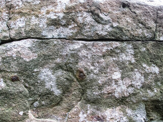 A crack in a dark green rocky stone. The texture of the broken rock.