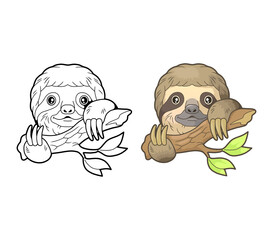 cute little sloth, coloring book, funny illustration