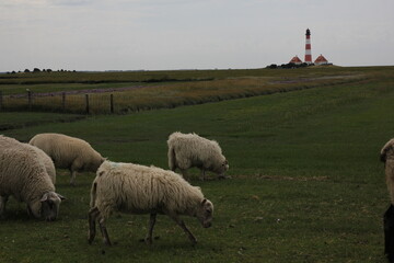 Leuchtturm Westerhever