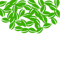 Falling green leaves. Fresh tea neat leaves flying