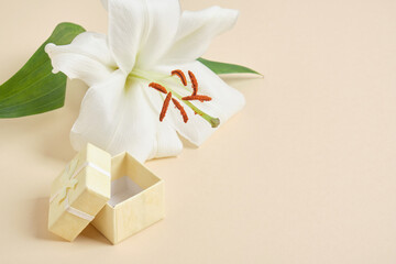 lily flower and small open yellow gift box on beige background