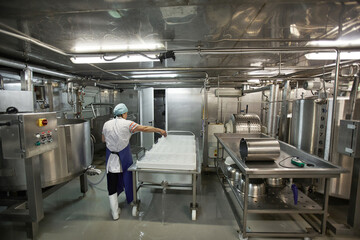Wide angle back view at worker using machine units at cheese and dairy factory, food production,...