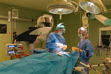 real photo during the operation for excision of the brain tumor. in the picture the surgeon and the...