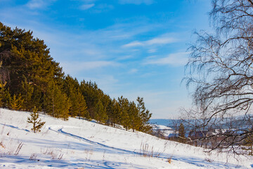 Winter village forest tree sky