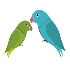 Parrot. Vector illustration. Isolated birds on white background