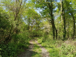 Paysages du Bassin d'Arcachon