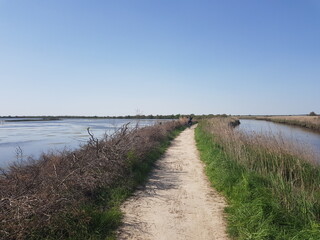Paysages du Bassin d'Arcachon