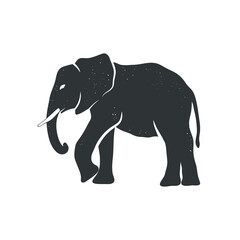 African elephant isolated on white. Vector illustration.