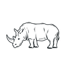 African rhino isolated on white. Vector illustration.