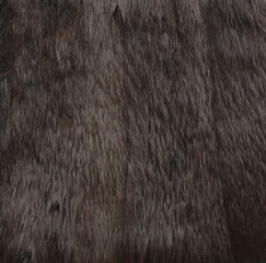 abstract macro background dark brown fur