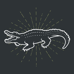 Alligator isolated on white. Vector illustration.