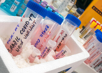 Several frozen vials testing positive for covid-19 infection of the new variant in the UK and Brazil, conceptual image.