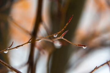 drops of truth two