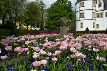 Castle in Schloss Neuhaus, Paderborn, NRW, Germany with castle grounds and flowers