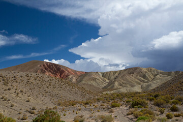The arid desert. View of the sand, dunes, desert flora and colorful hills under a beautiful sky with clouds. 
