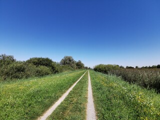 Naklejka premium Am Bodensee