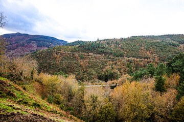 Estrada na montanha no outono