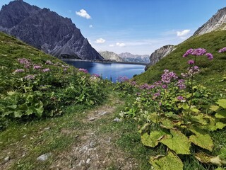 Rund um den Luenersee