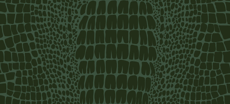 Crocodile skin seamless pattern. Vector illustration.