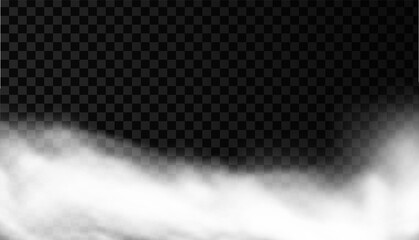 White smoke or fog vector background. Isolated mist transparent effect. Steam texture illustration. Powder explosion concept.