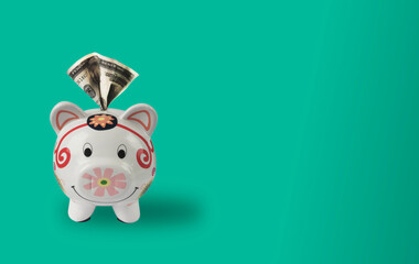 piggy bank with money in a aquamarine background