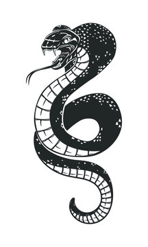 Snake isolated on white. Viper. Vector illustration.