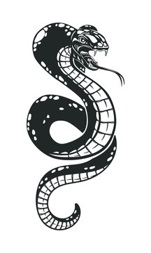 Snake isolated on white. Viper. Vector illustration.