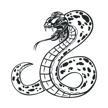 Snake isolated on white. Viper. Vector illustration.