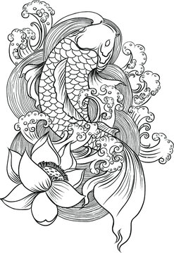 Koi fish with water splash. Koi carp fish tattoo.hand drawn koi fish Dragon head.Japanese Dragon carp line drawing coloring book vector image. Shachihoko or Shachi vector.