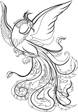 hoenix Fire bird illustration and character design.Hand drawn Phoenix tattoo Japanese and Chinese style,Legend of the Firebird is Russian fairy tales and it is creature from Slavic folklore.