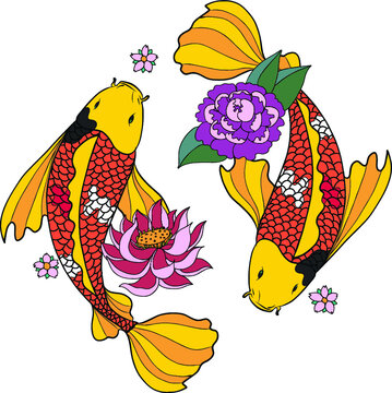 Japanese koi.Hand drawn colorful Koi fish and  Japanese tattoo.doodle art Koi fish for Japanese tattoo