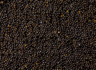 Black caviar background texture close-up copy space