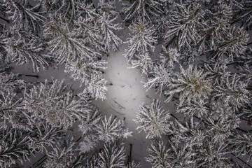 An aerial shot of winter forest scenery