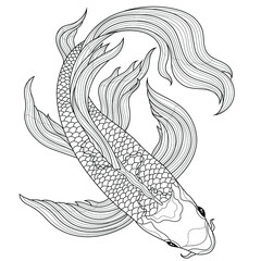 Koi carp fish.Coloring book antistress for children and adults. Zen-tangle style.Black and white drawing.Hand draw