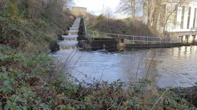 Salmon ladder an fish pass at Earlstoun Power Station, Galloway, Scotland
