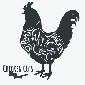 Chicken cuts butchery diagram. Vector illustration.