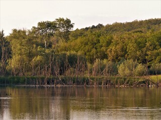 lake in the woods