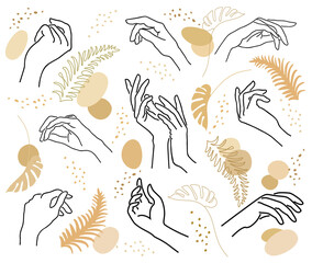 Collection. Lady hand silhouette. The girl is slim and elegant. There are leaves nearby. Suitable for advertising cosmetics. Vector illustration set.