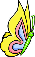 A gorgeous butterfly with coloful wings. 