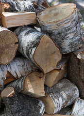 A pile of big birch logs