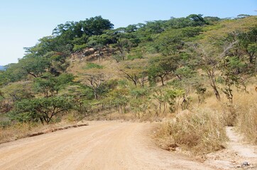 Fototapeta na wymiar Dirt road between Kigoma and Mpanda in Tanzania