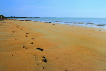 Footprints And Pawprints Side By Side In The Sand On Fannie Bay Beach In Darwin, Australia