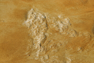 Eroded Rock On The Beach