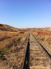Tracks