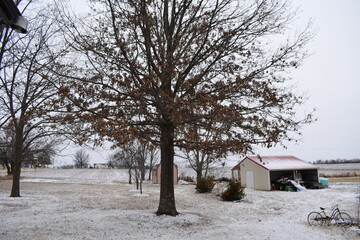 Snow Covered Lawn