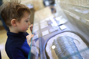 Child examines ancient petrified mollusk