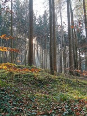 hdr