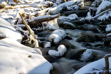 Winter Stream in Swedish Wilderness